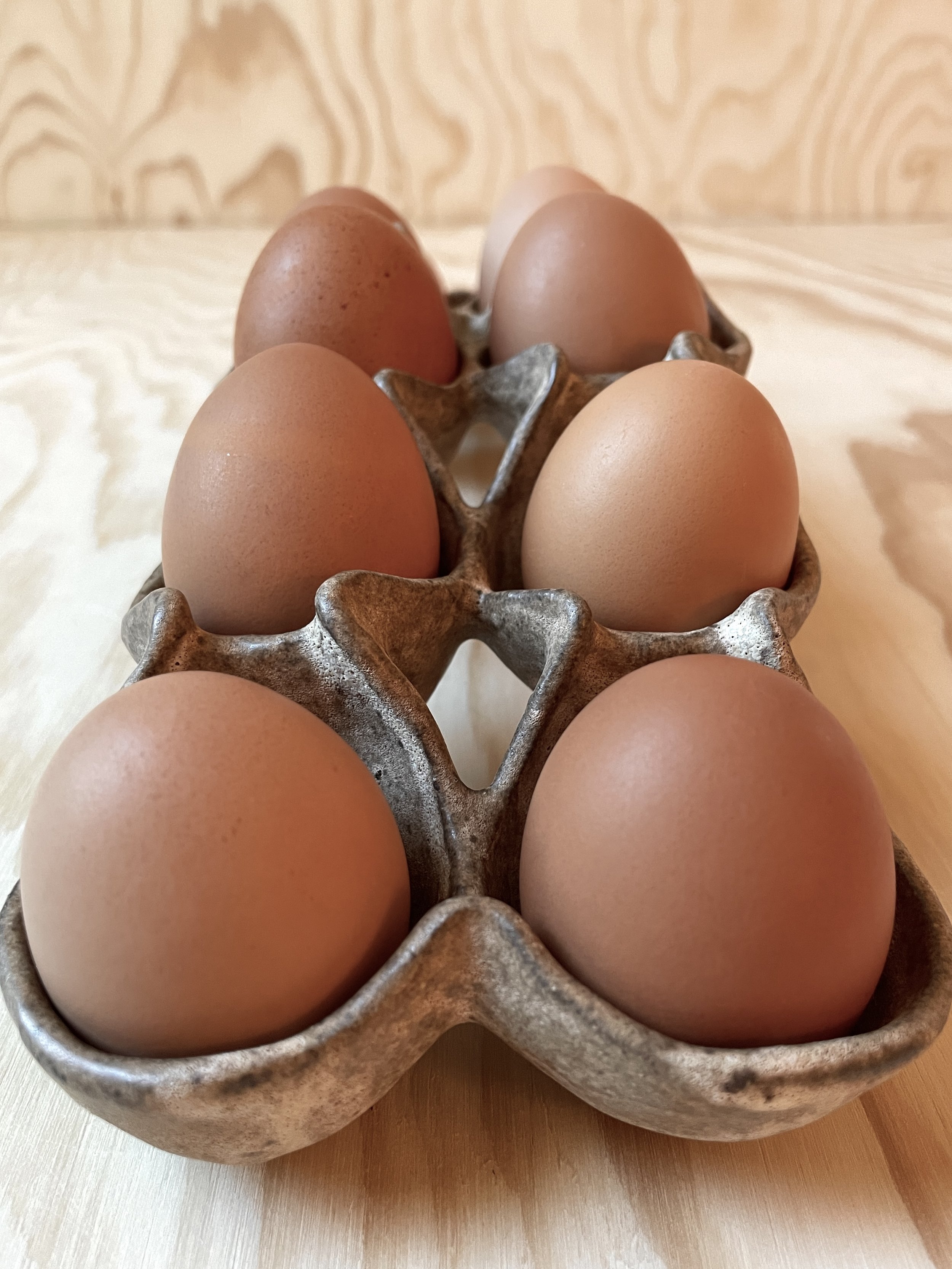 egg-arch-cream-speckle-2.jpg