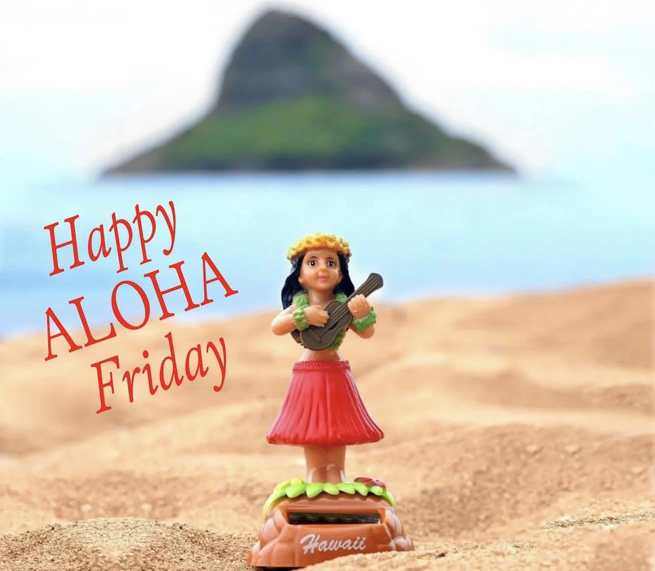 IMG_2024.jpeg