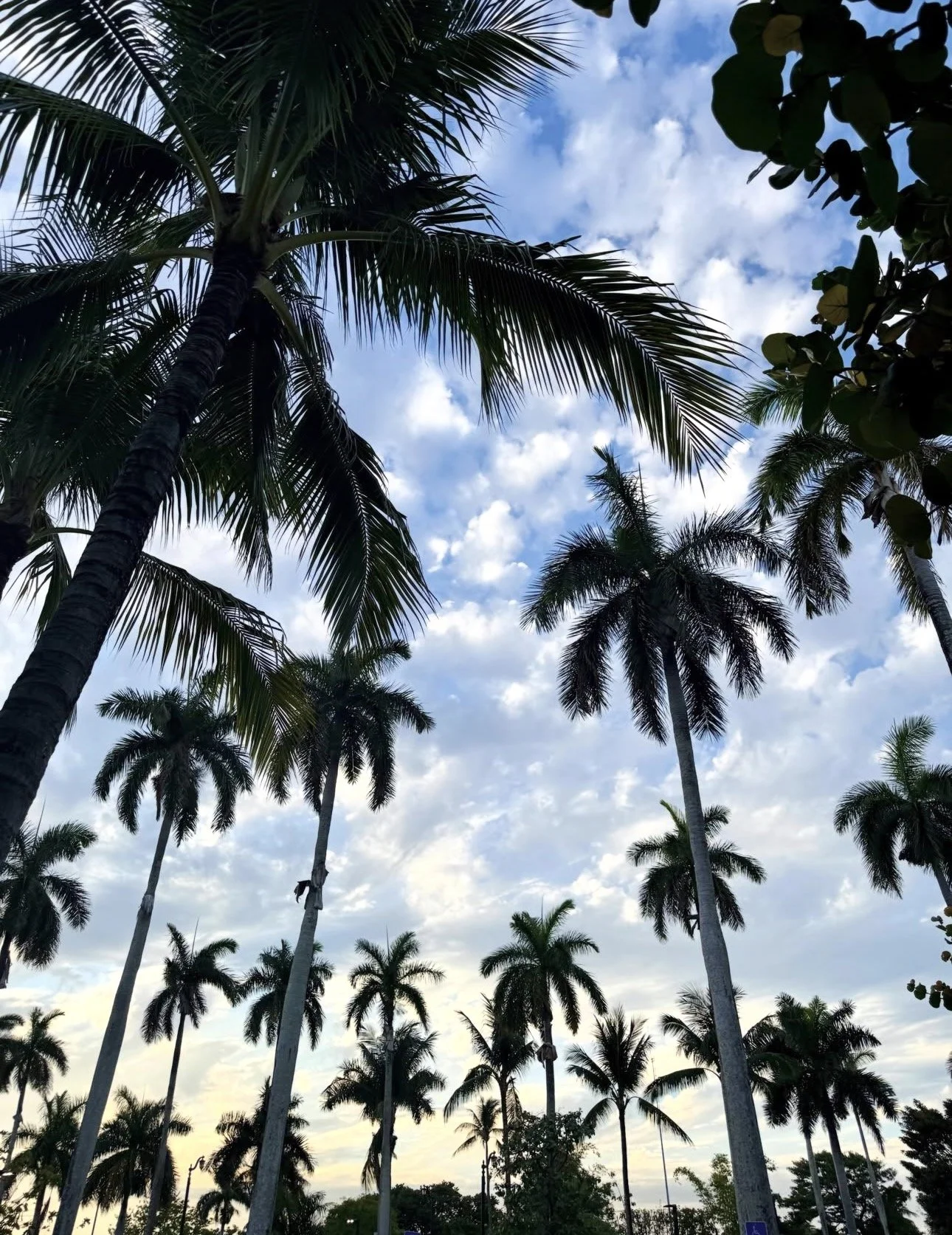 IMG_1902.jpeg