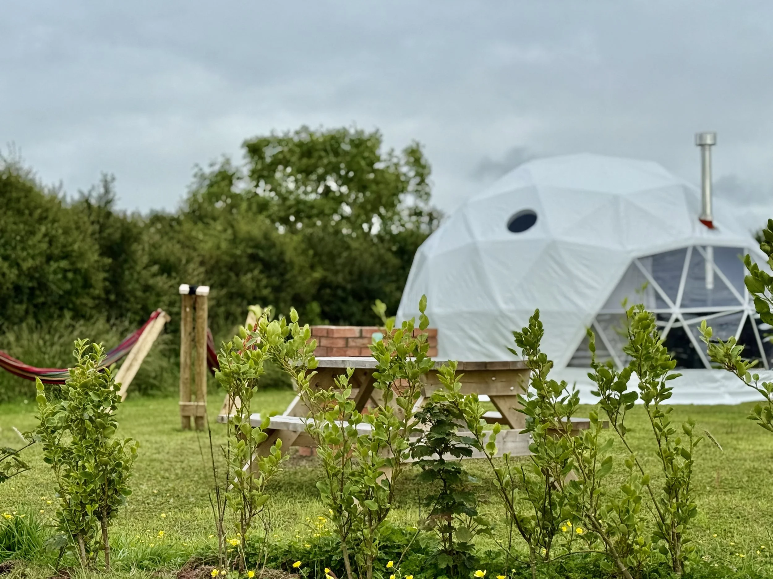 The Alpaca Hideaway Geo Dome Stay for Two