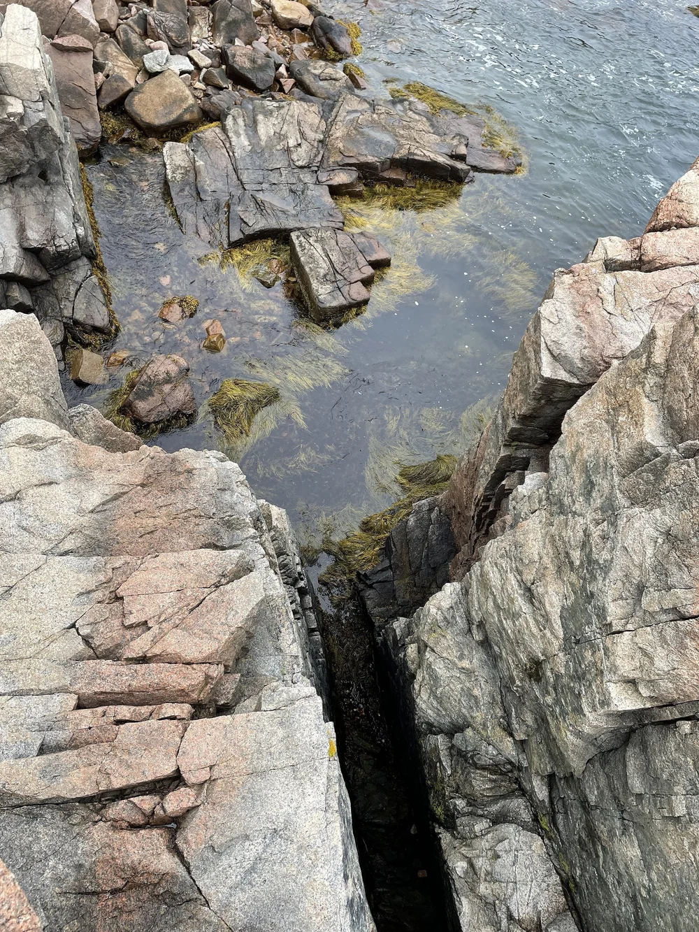 Rocks and water along the shore