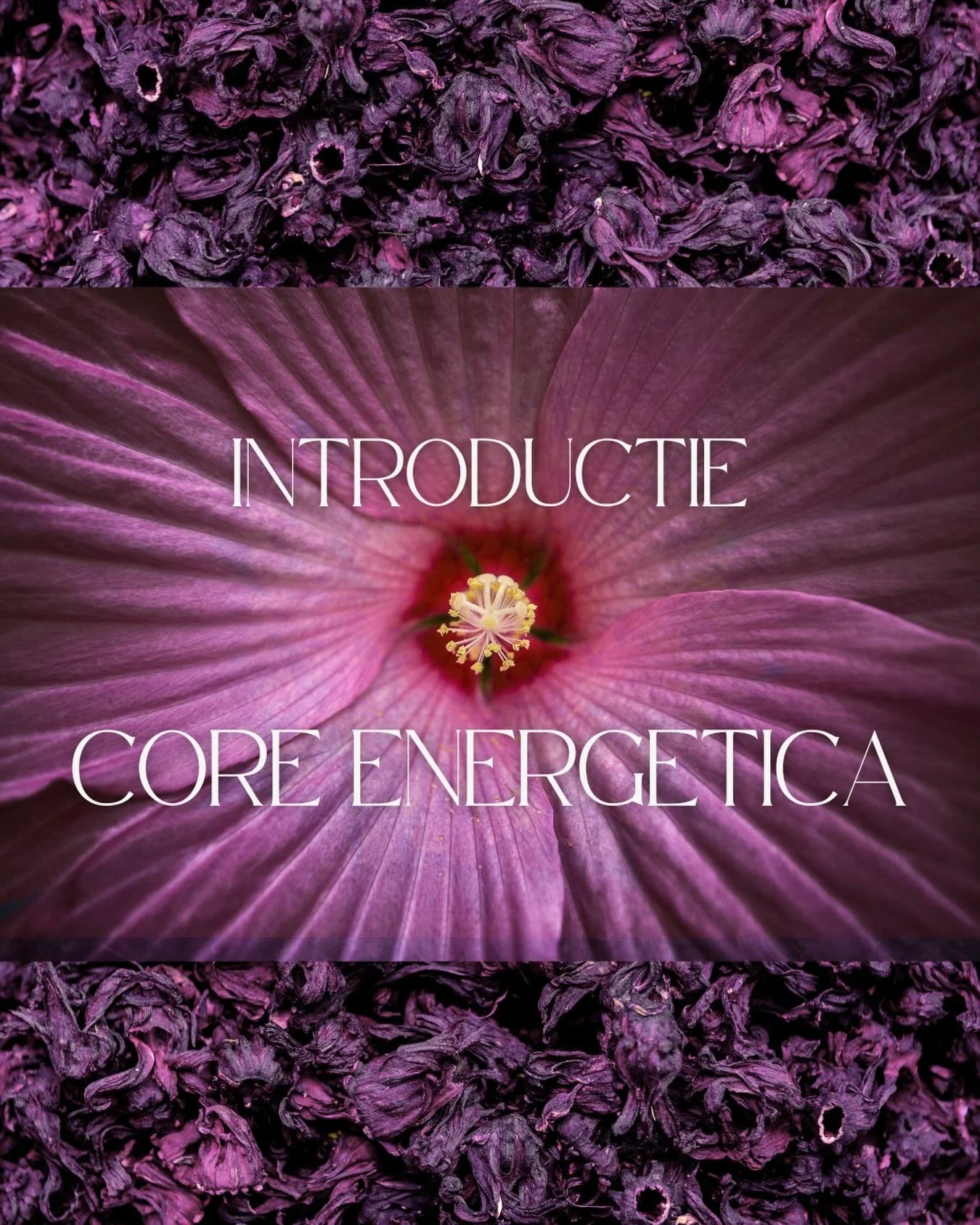 Core energetica &ndash; 30 maart 🌸

Merk je dat je veel in je hoofd zit, vastloopt in patronen of verlangt naar meer ontspanning en levendigheid? Core Energetica helpt je om weer in contact te komen met je lichaam en je vitaliteit. ⚡️

Tijdens deze 