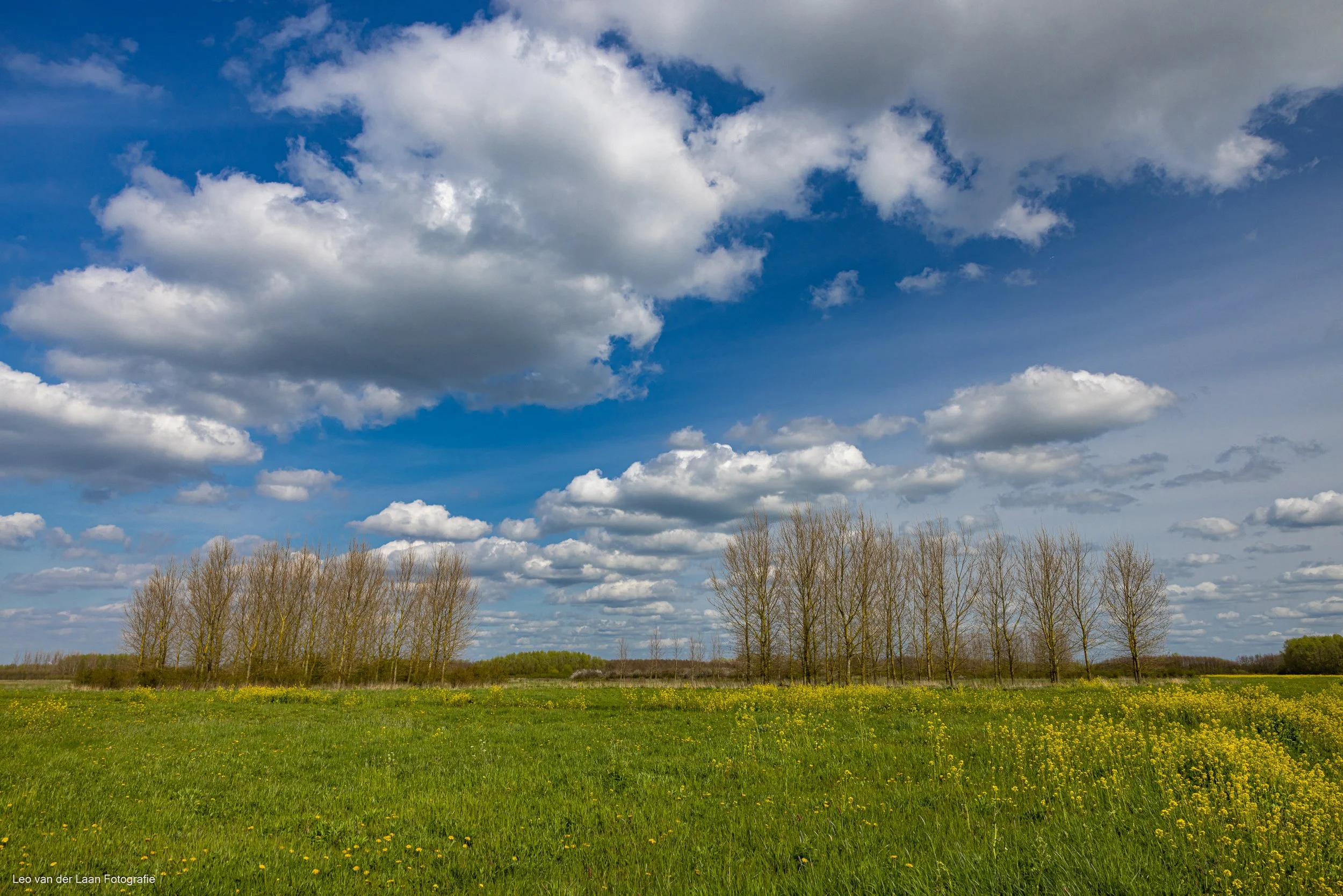 _W2A3899-10.jpg