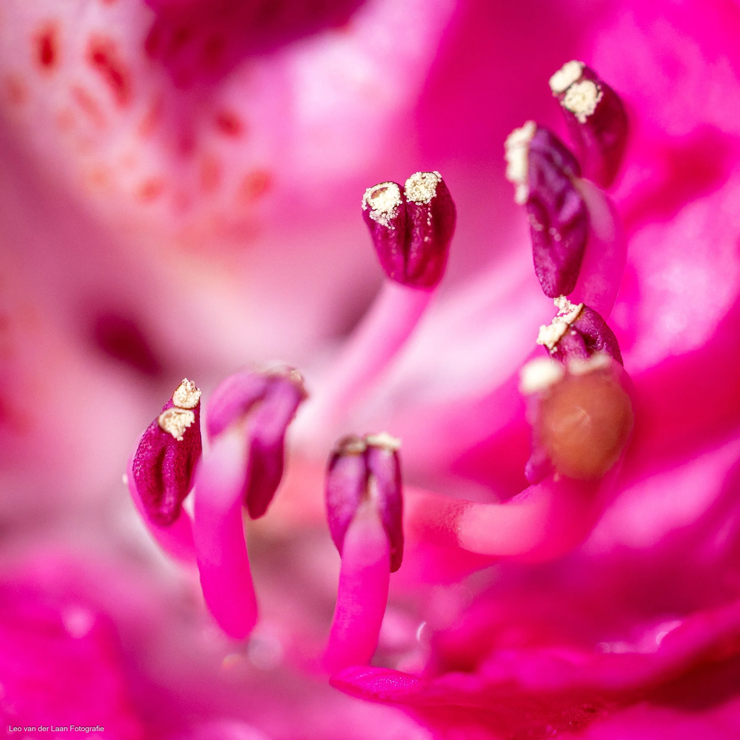 _W2A4059-4.jpg