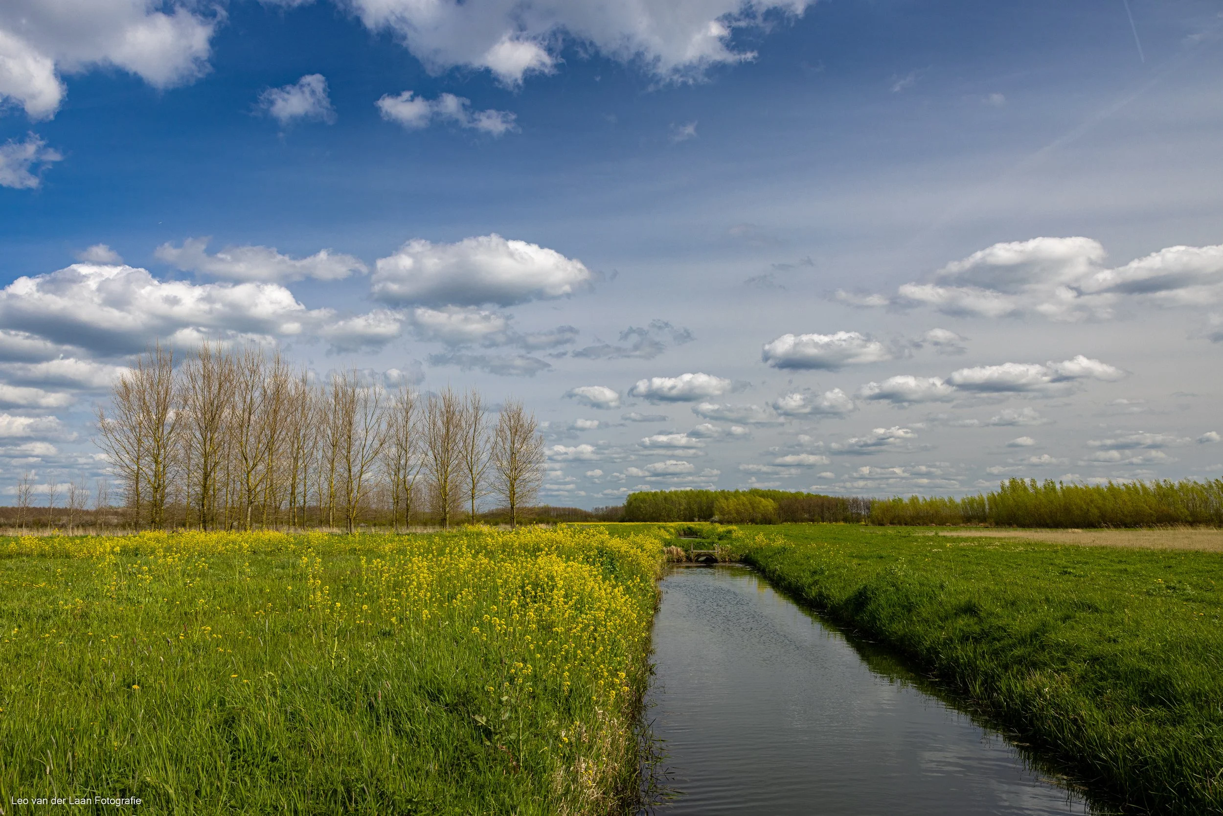 _W2A3897-9.jpg