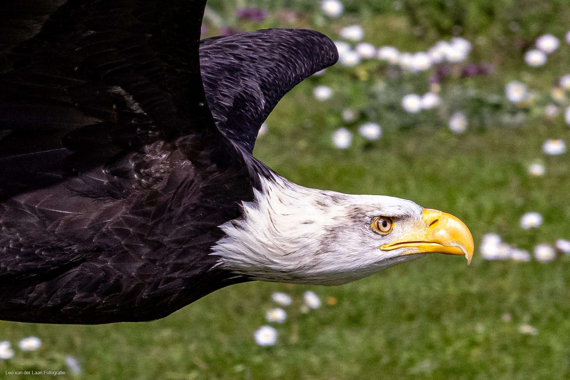 _W2A3754-59.jpg