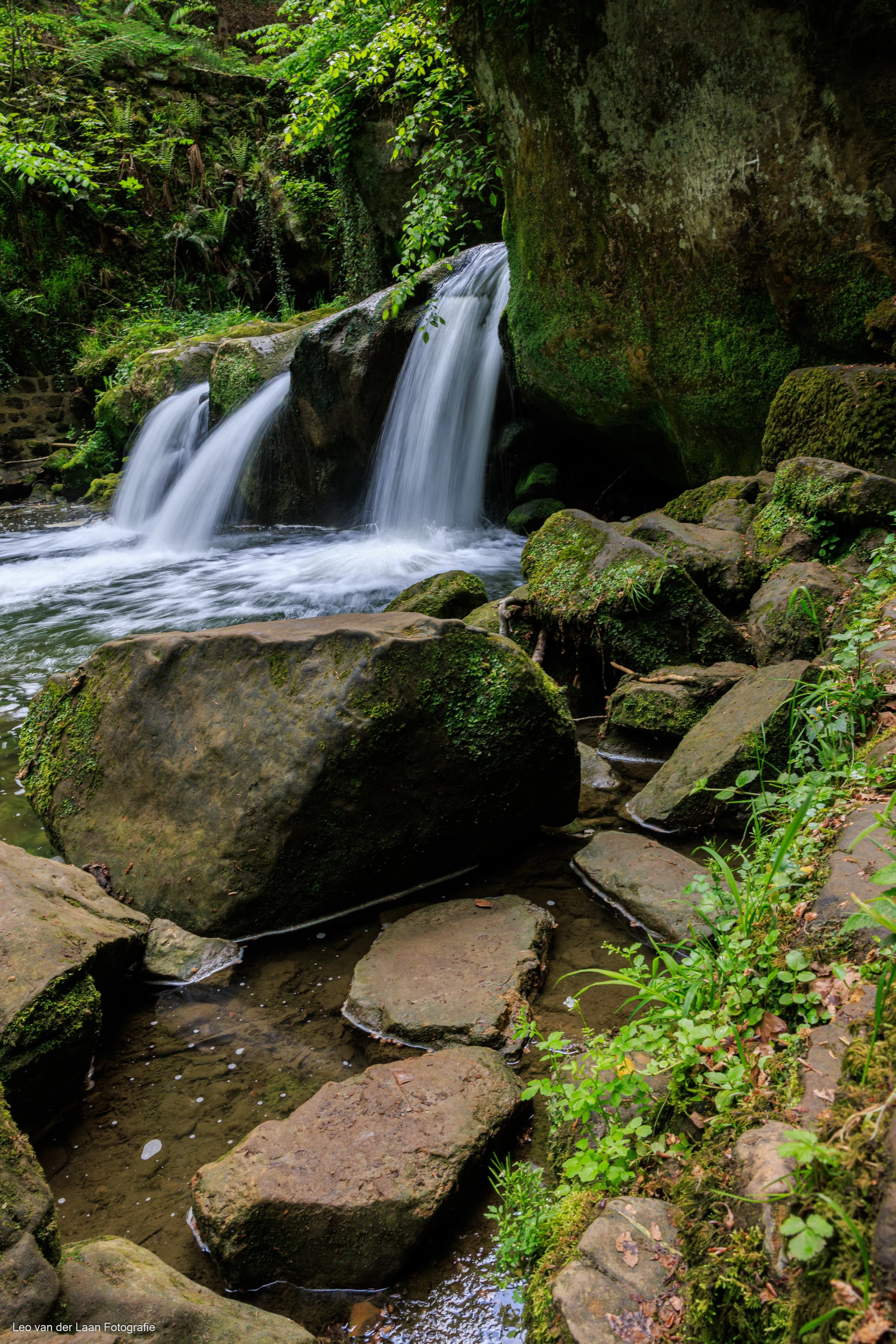 _W2A4985-14.jpg