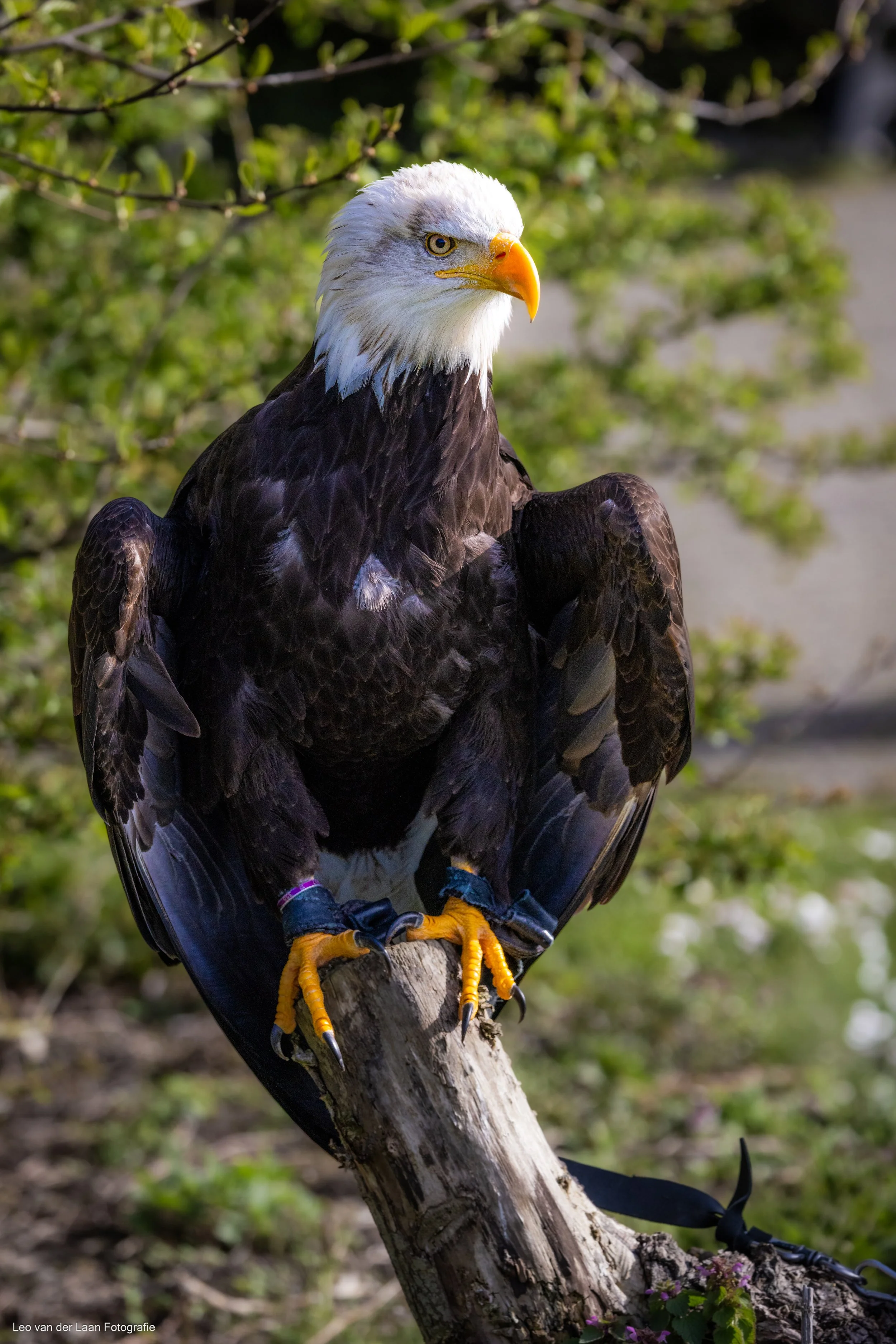 _W2A3164-25.jpg