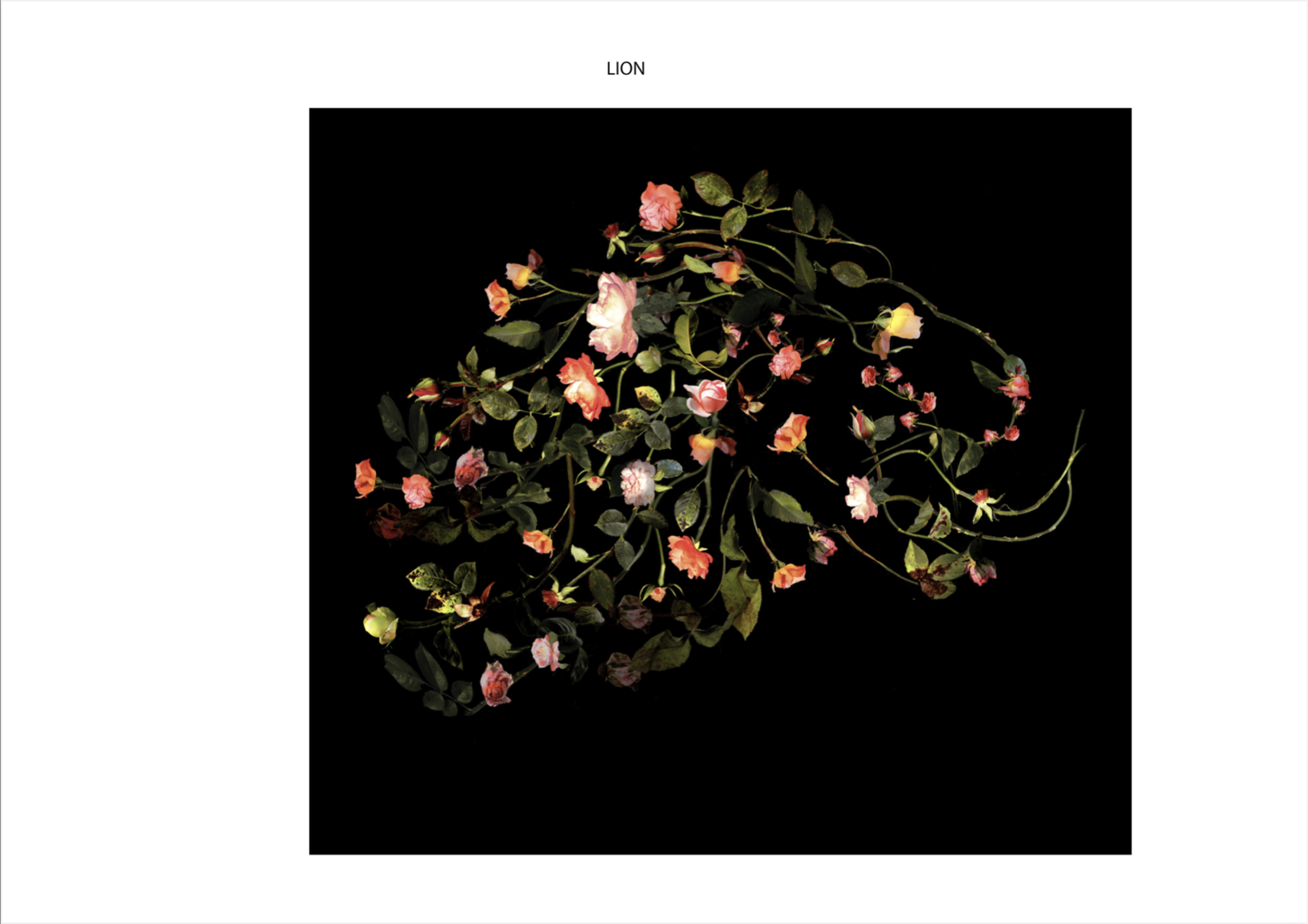 Screenshot 2022-10-12 at 15.18.06.png