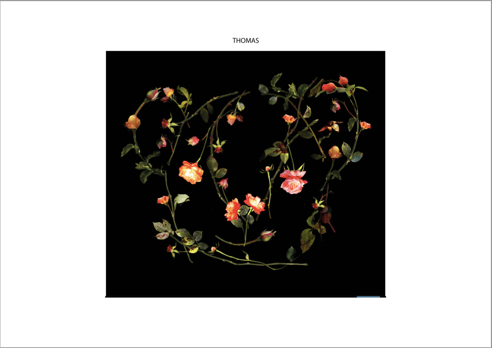 Screenshot 2022-10-12 at 15.18.16.png