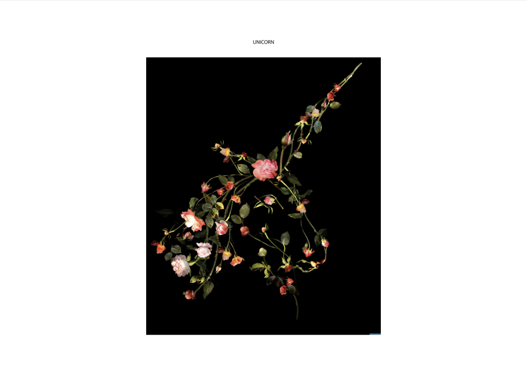 Screenshot 2022-10-12 at 15.18.28.png