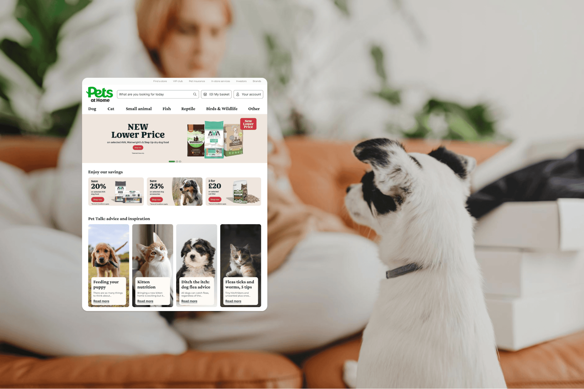 Original Pets at Home case-study hero showing the redesigned shopping interface.