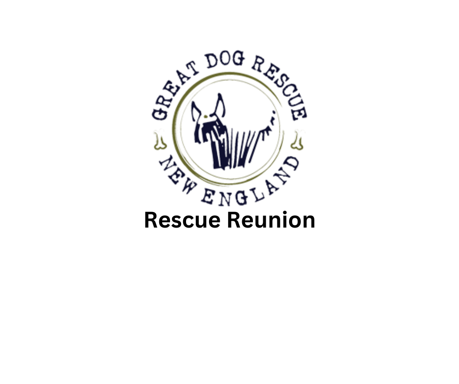 GDRNE Rescue Reunion