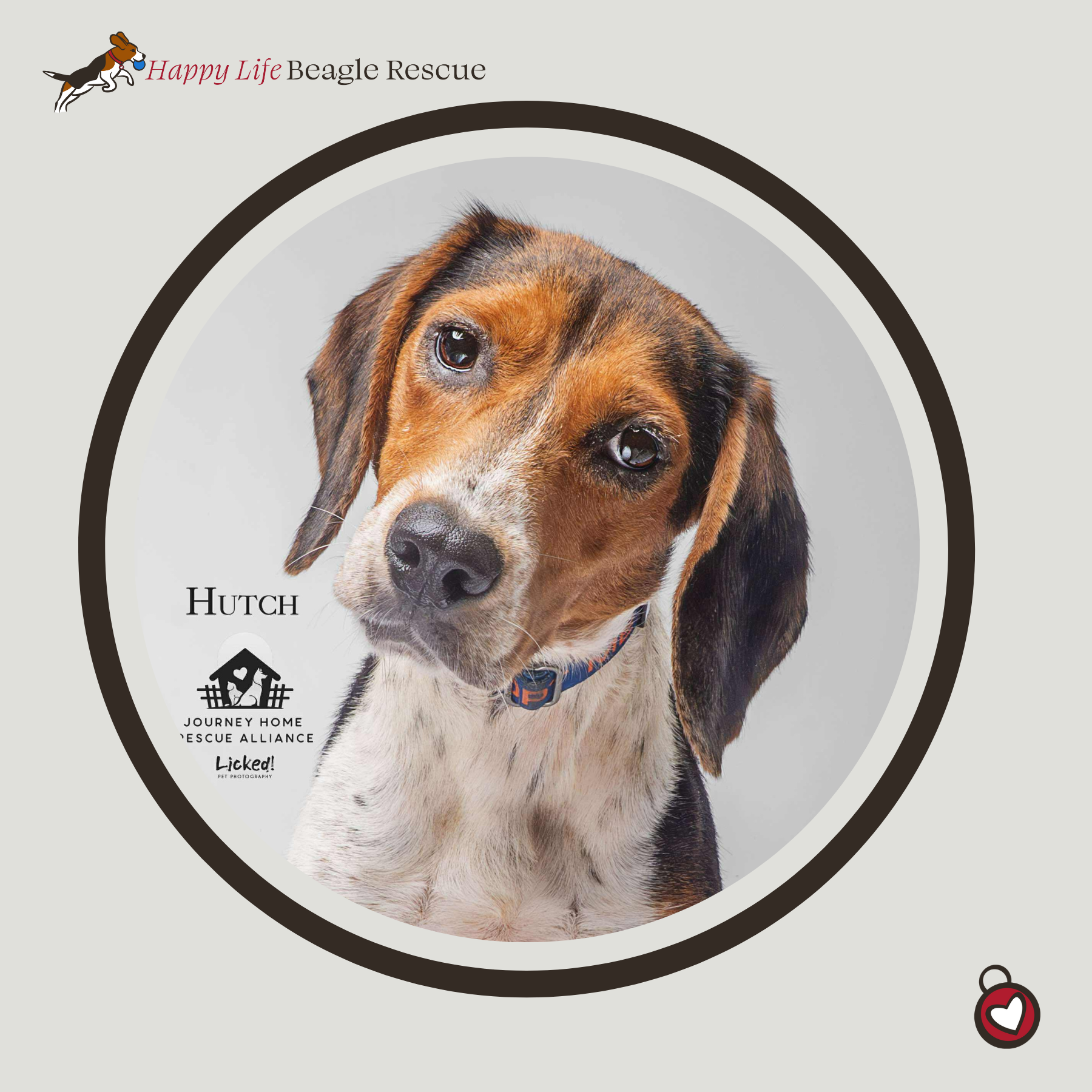 Hutch
