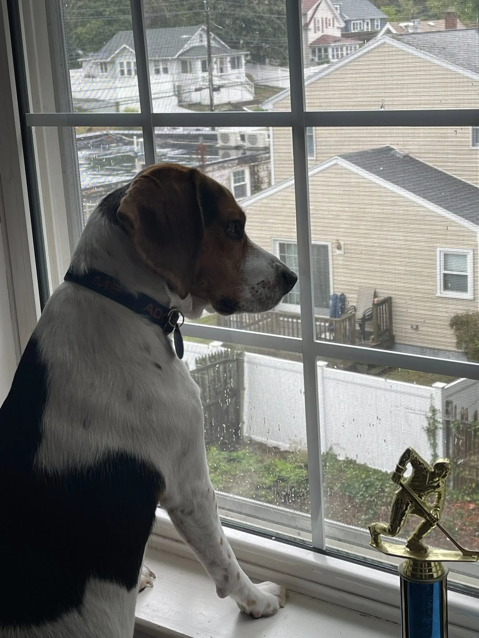 image3.jpeg