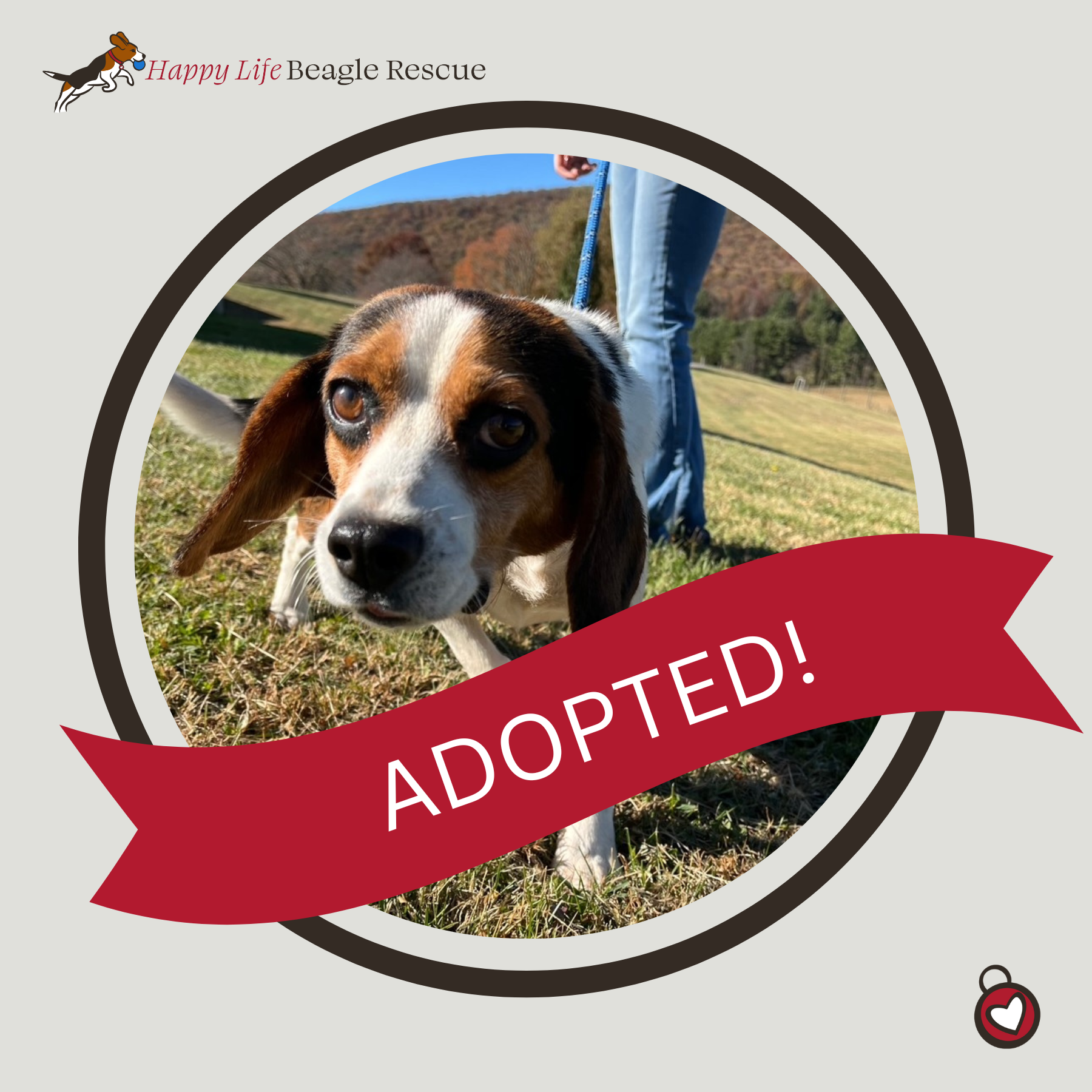 Lucky