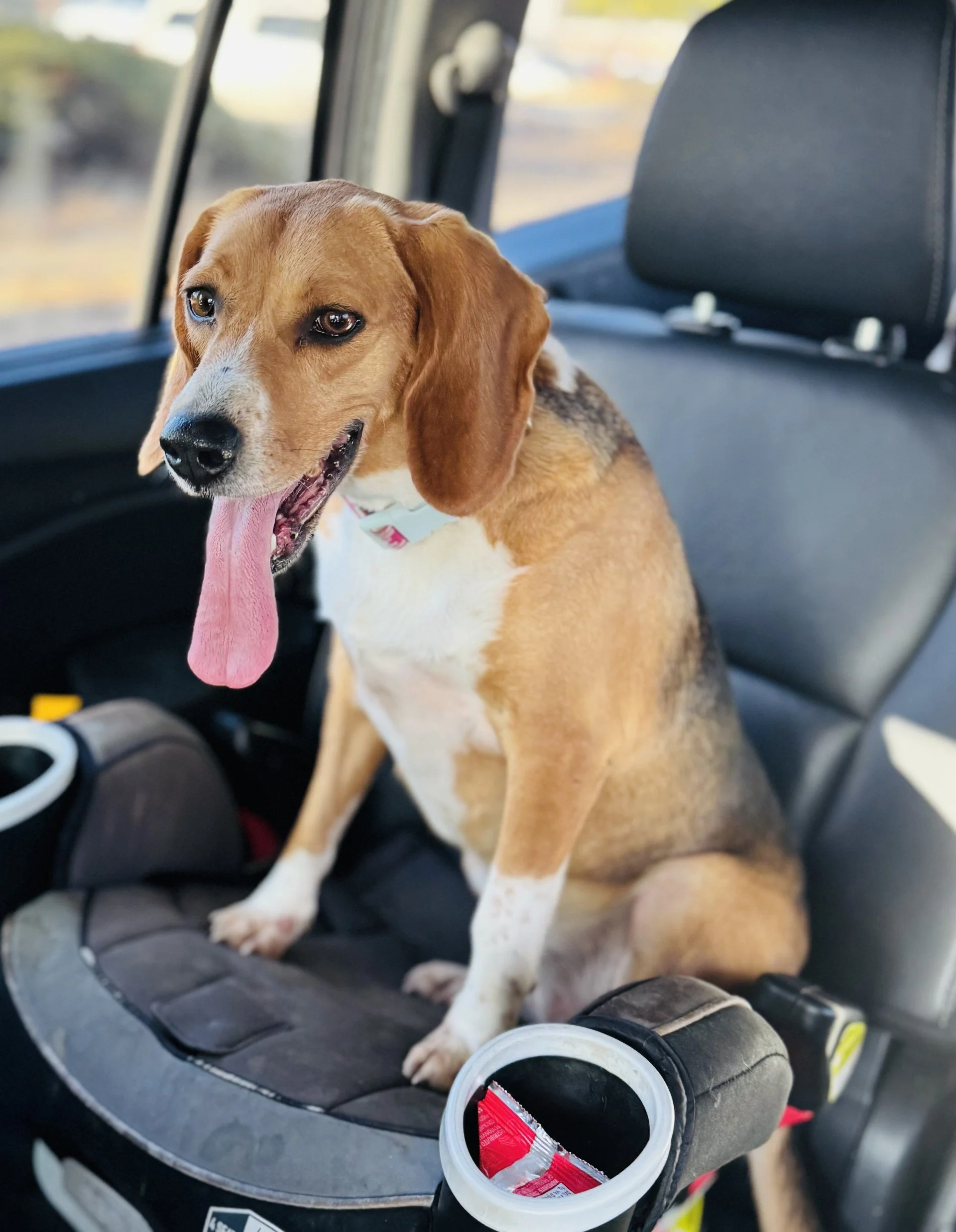 Mollie OS Corbin Mustain TN.jpg