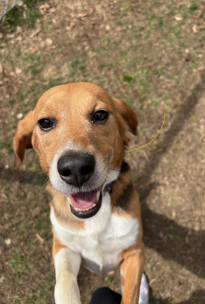 Barney without name.jpg