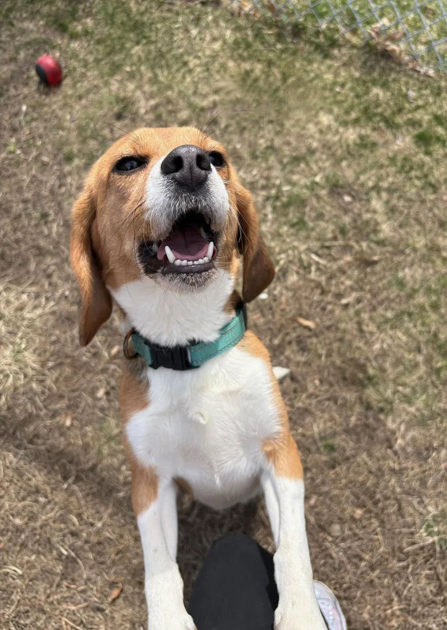 Betty without name.jpg