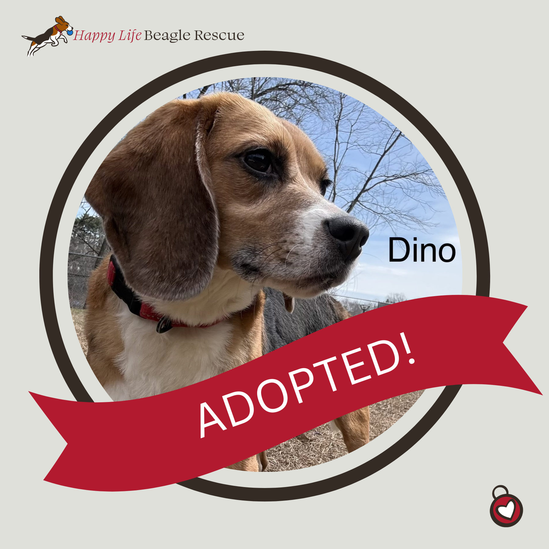 Dino