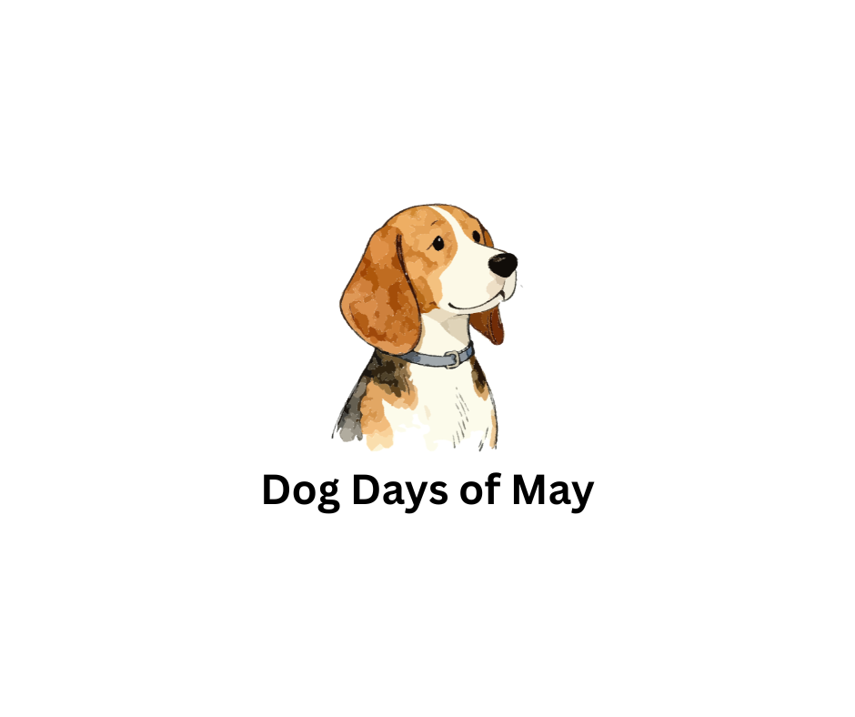Dog Days of May