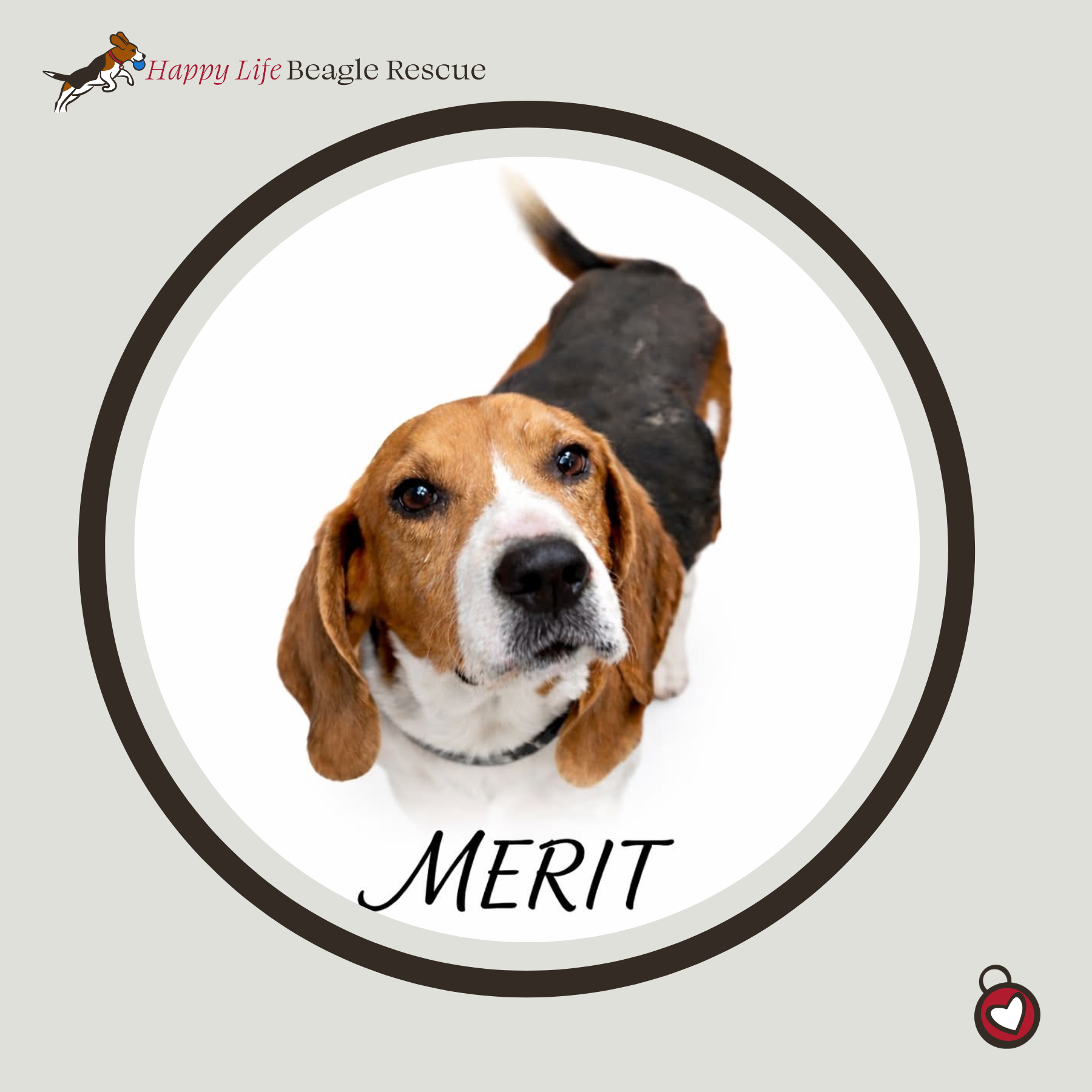 Merit