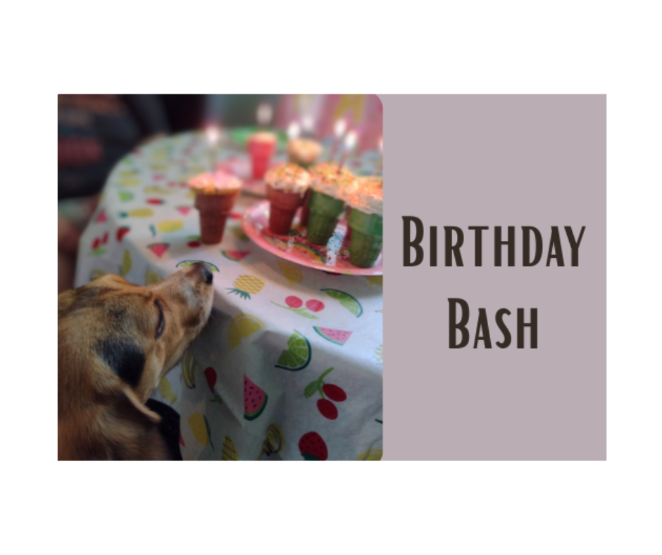 HLBR Birthday Bash