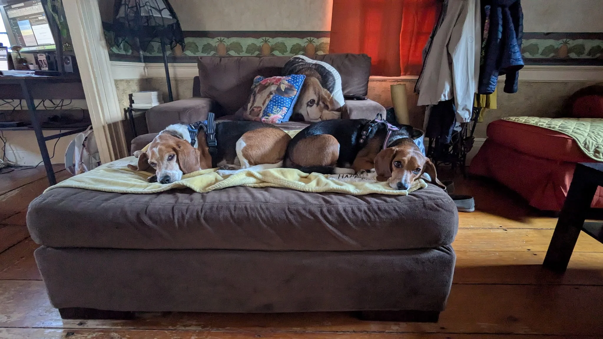 Lucy and Carlton.jpg