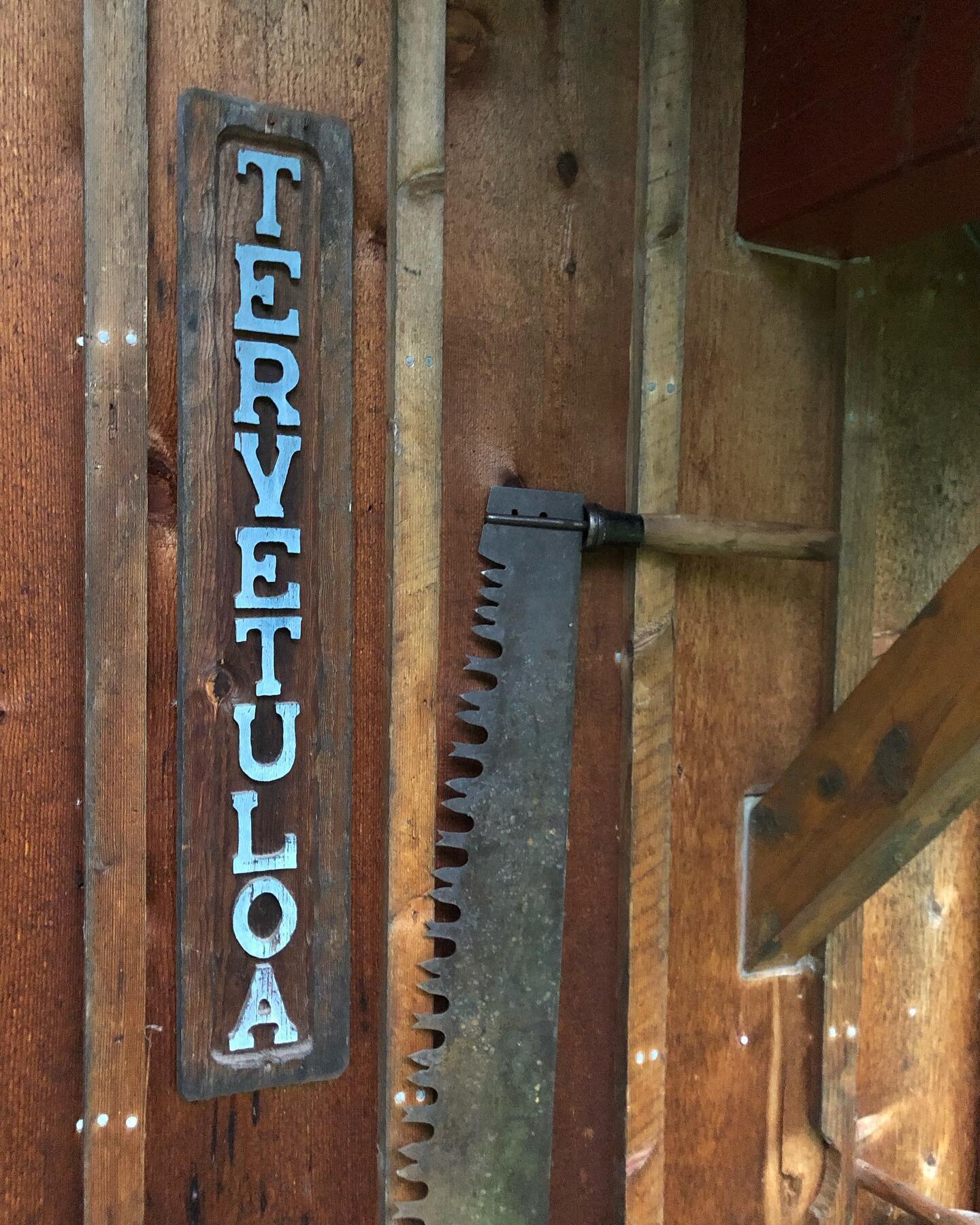 We had the warmest Finnish welcome at a friend&rsquo;s dad&rsquo;s camp: a timber frame he carved by the light of a single bulb in his garage and erected in the woods he grew up exploring as a boy.

We walked about, we sweat it out in the sauna, we a