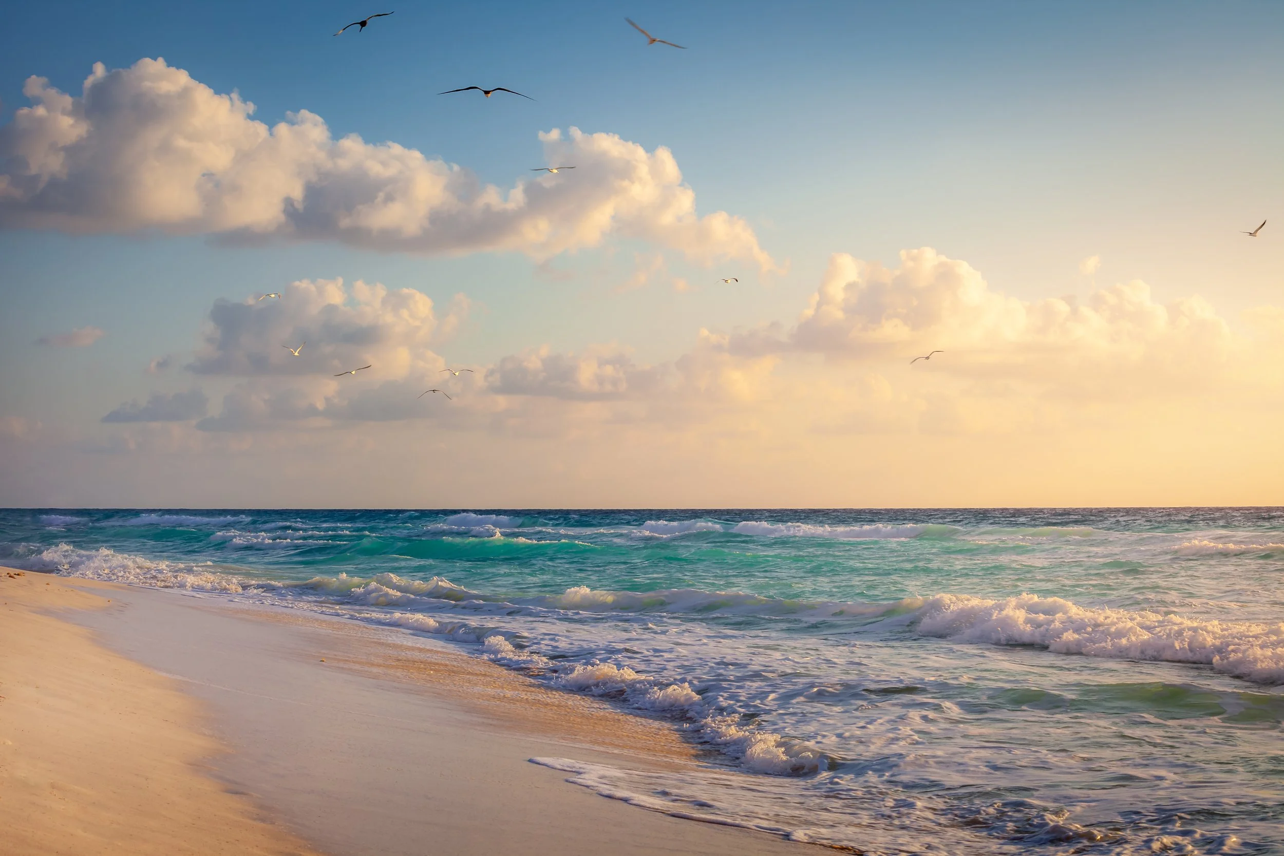 Sunset over a sandy beach with waves and seagulls flying in the sky.