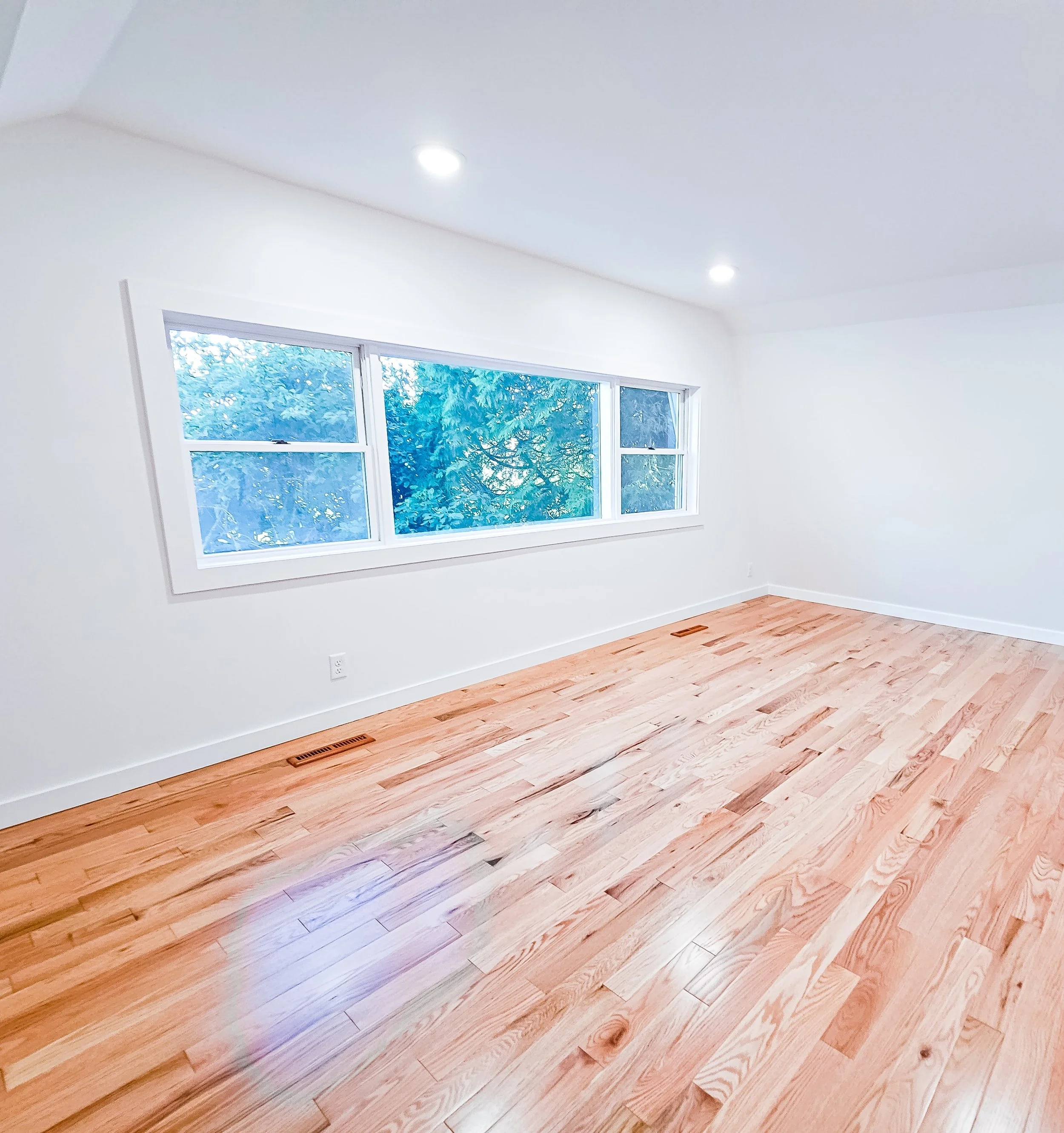 20230729_184754 (1)x.jpg