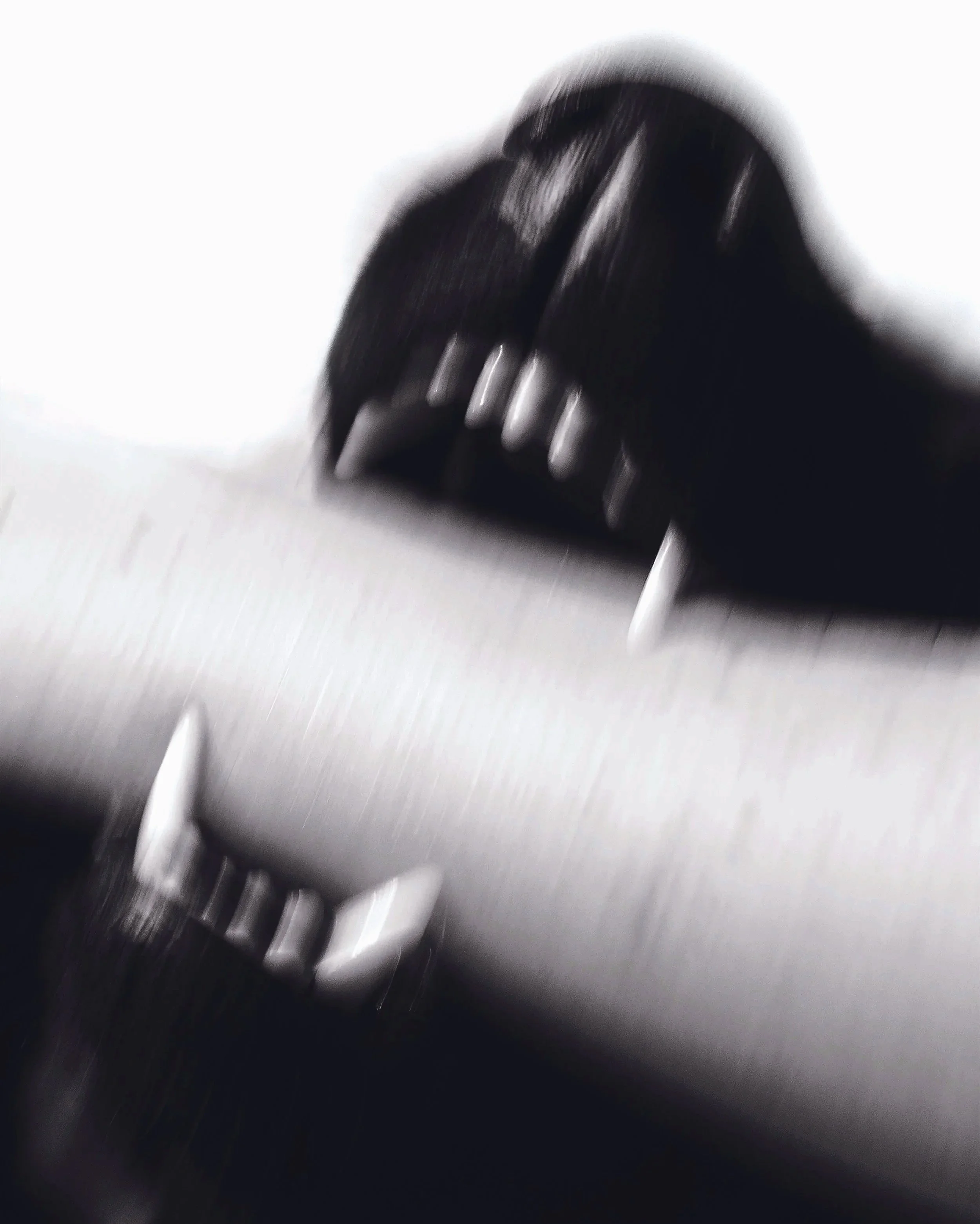 6C2A293.jpg