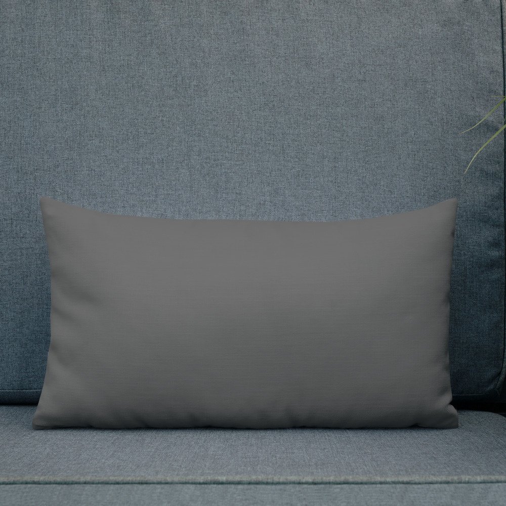 all-over-print-premium-pillow-20x12-back-lifestyle-2-6366e7db1e45b.jpg