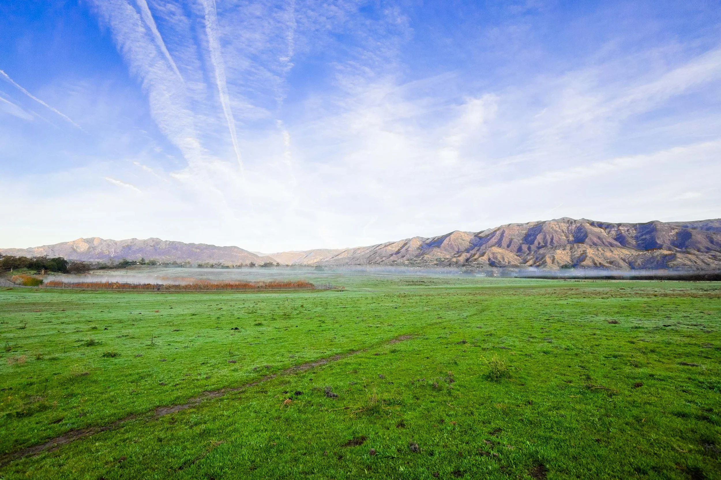 Open fields and mountain views at RMR Ranch
