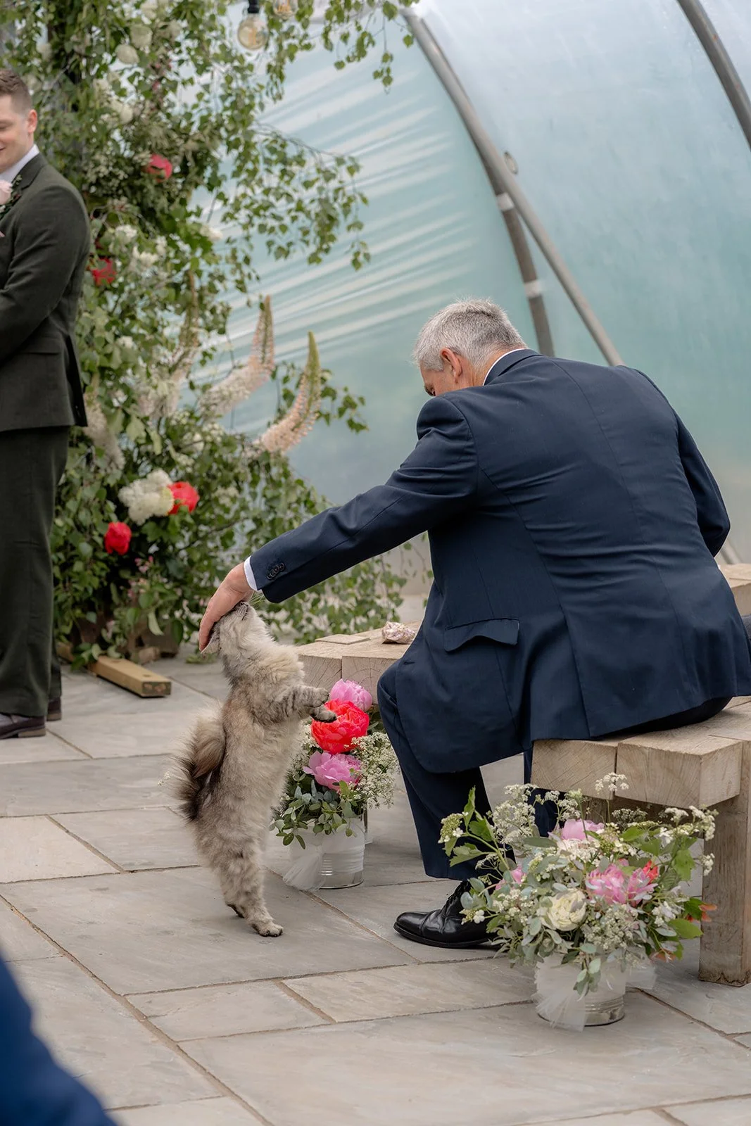 Jaye & Josh's Farrington's Farm wedding in Bristol with a guest gently petting a fluffy cat beside colourful floral buckets, timber benches, stone paving and the clear poly tunnel ceremony space in the background during the relaxed reception.