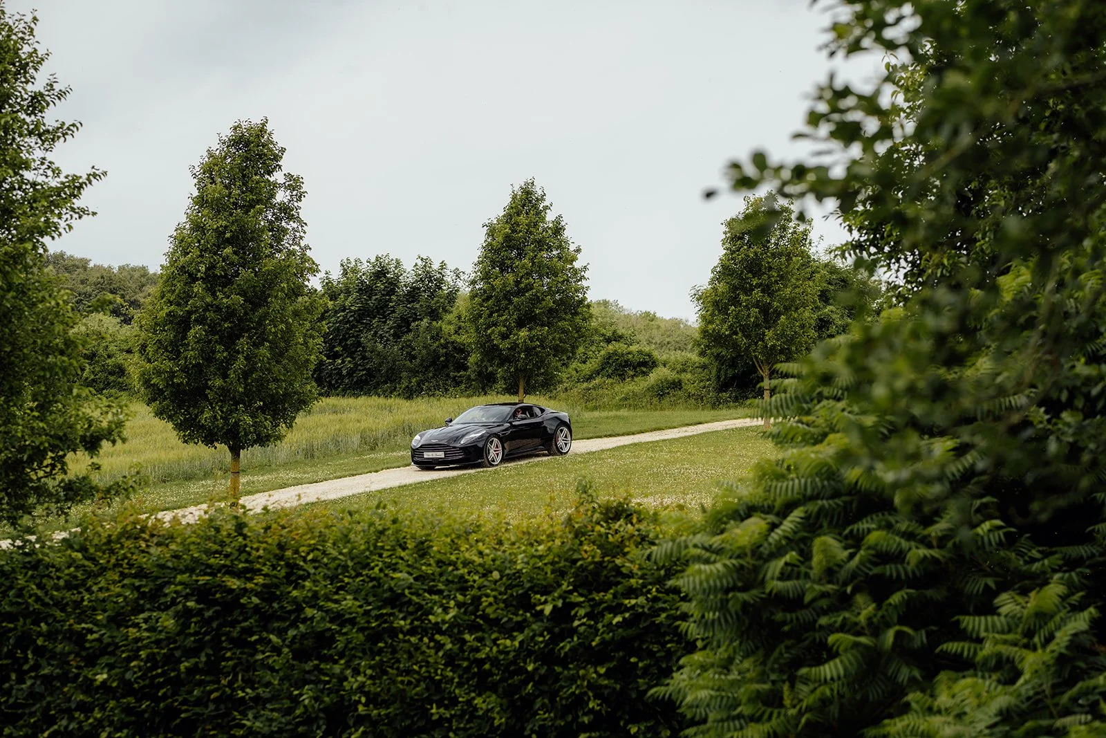 A fast Aston Martin wedding car arrives for Chloe and Armani’s wedding along the tree-lined drive at The Barn at Upcote in Gloucestershire, photographed by Just James Weddings.