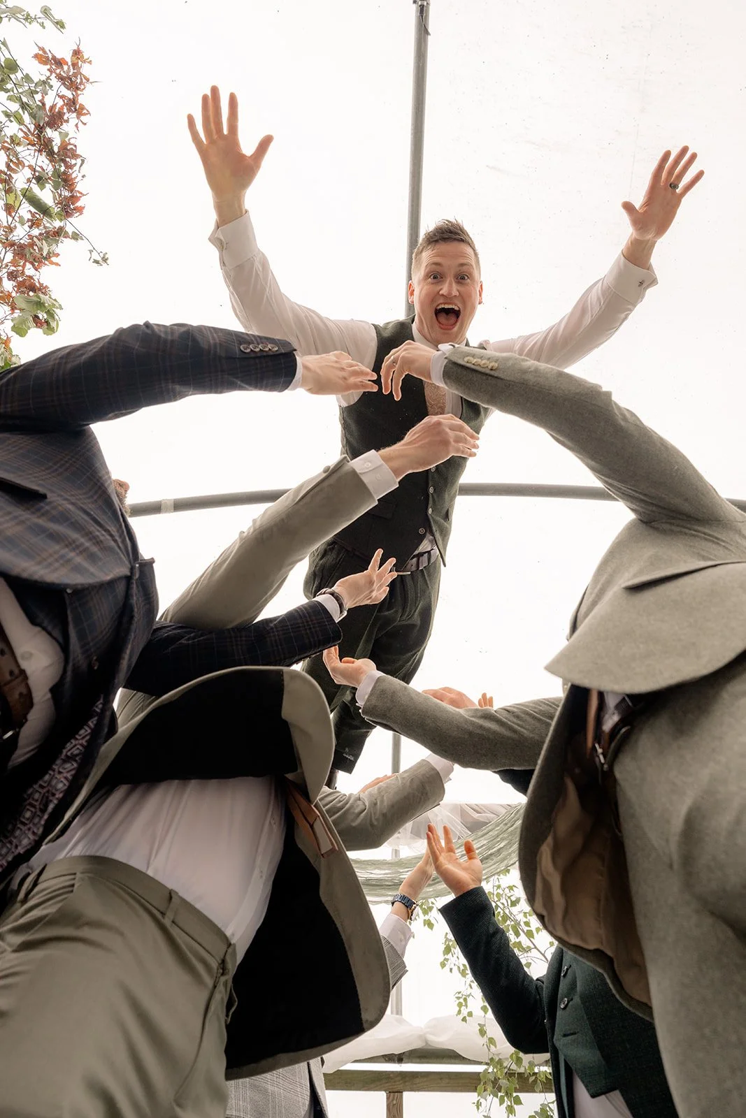 Jaye & Josh's Farrington's Farm wedding in Bristol with the groom lifted by his groomsmen from a low angle, arms thrown up in laughter beneath the bright poly tunnel roof, hanging greenery and soft draped ceremony fabric around him joyfully.