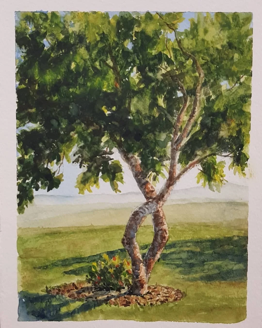 Partridge Crystal Plein Air 1.jpg