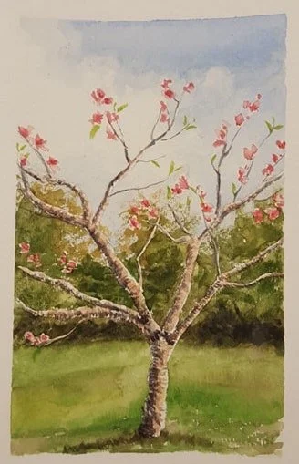 Partridge Plein 3.jpg