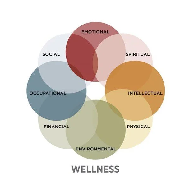 What Does It Mean To Live Holistically?