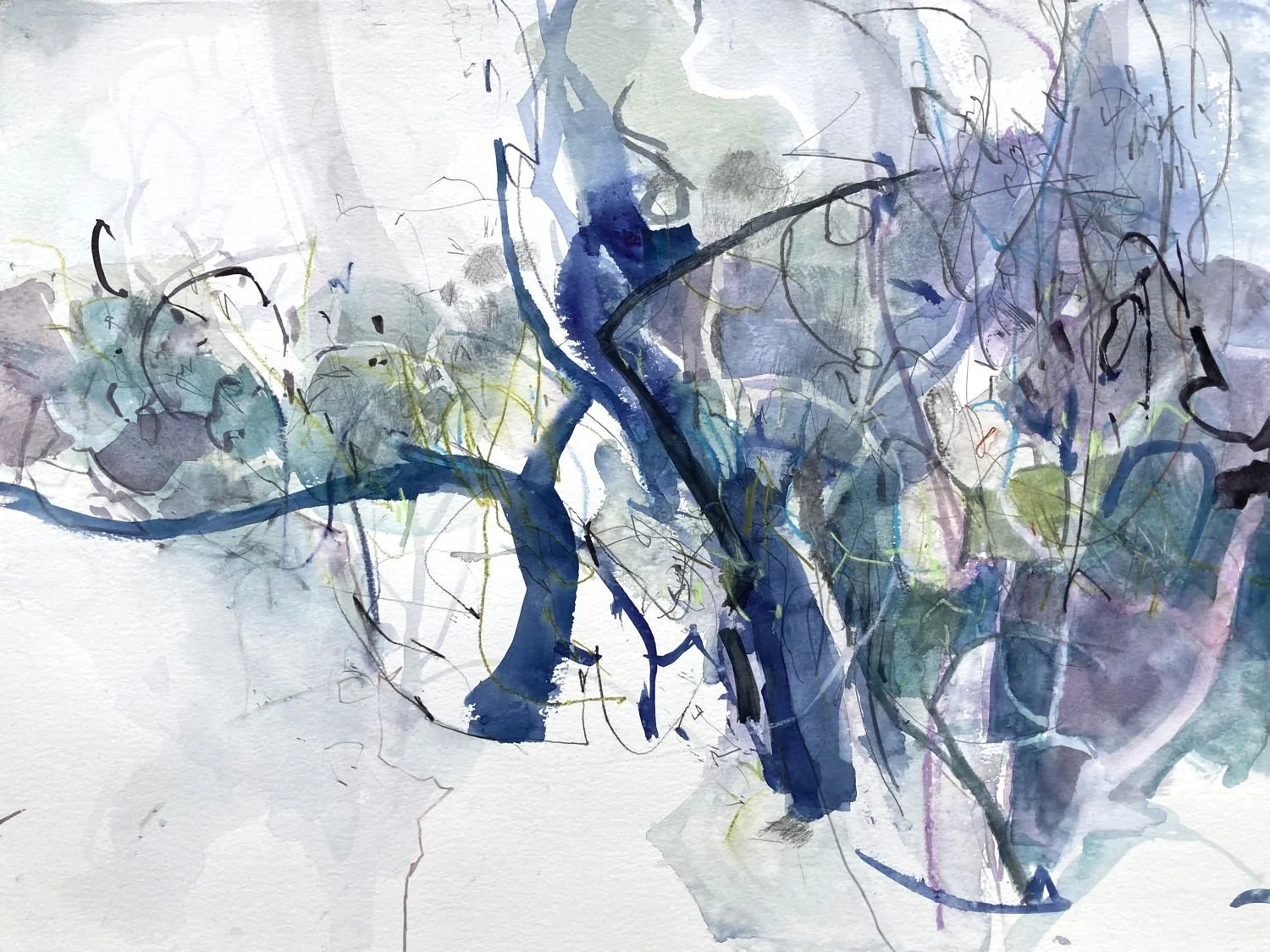  Ella Clocksin,  Singing Trees 2,  watercolour &amp; drawing media 