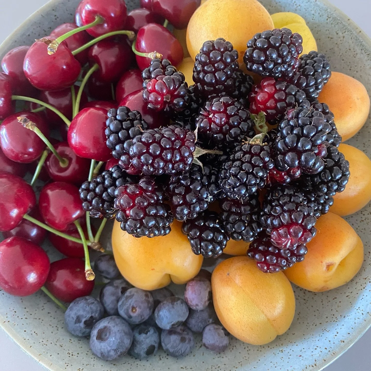My favourite time of year in our garden 😍👌🏽 Daily harvests of cherries, berries and apricots.

#homegrown #joy @theediblefence 🧡🌱