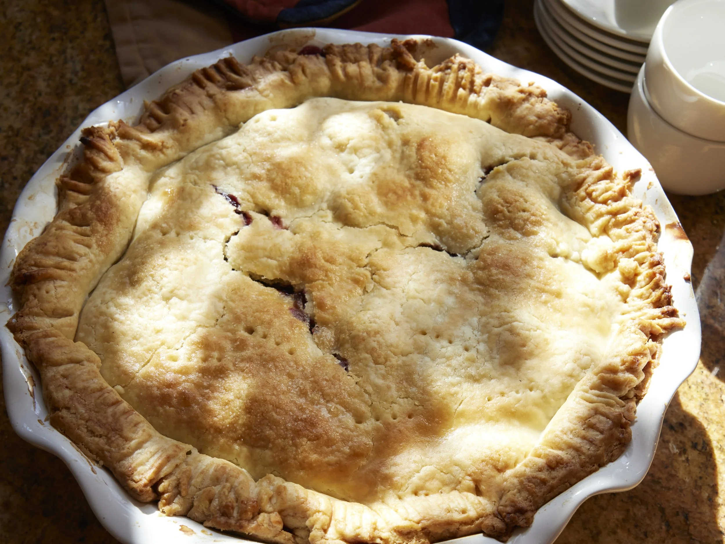 5E7A0353Nov 09 2023cherryPie.jpg