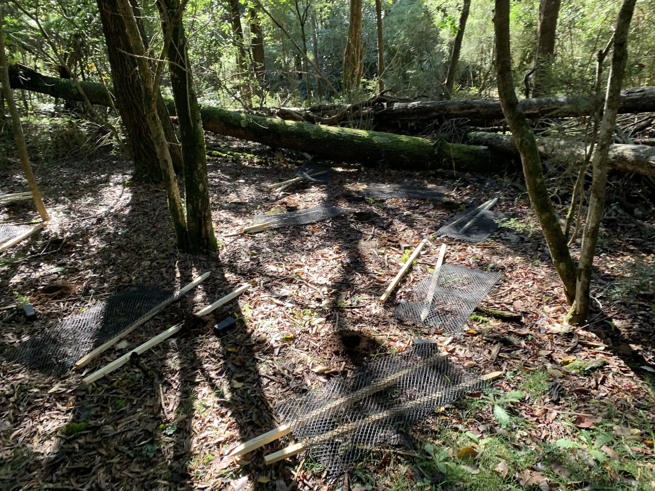 Plant guards and stakes laid out, waiting for holes and tube stock.