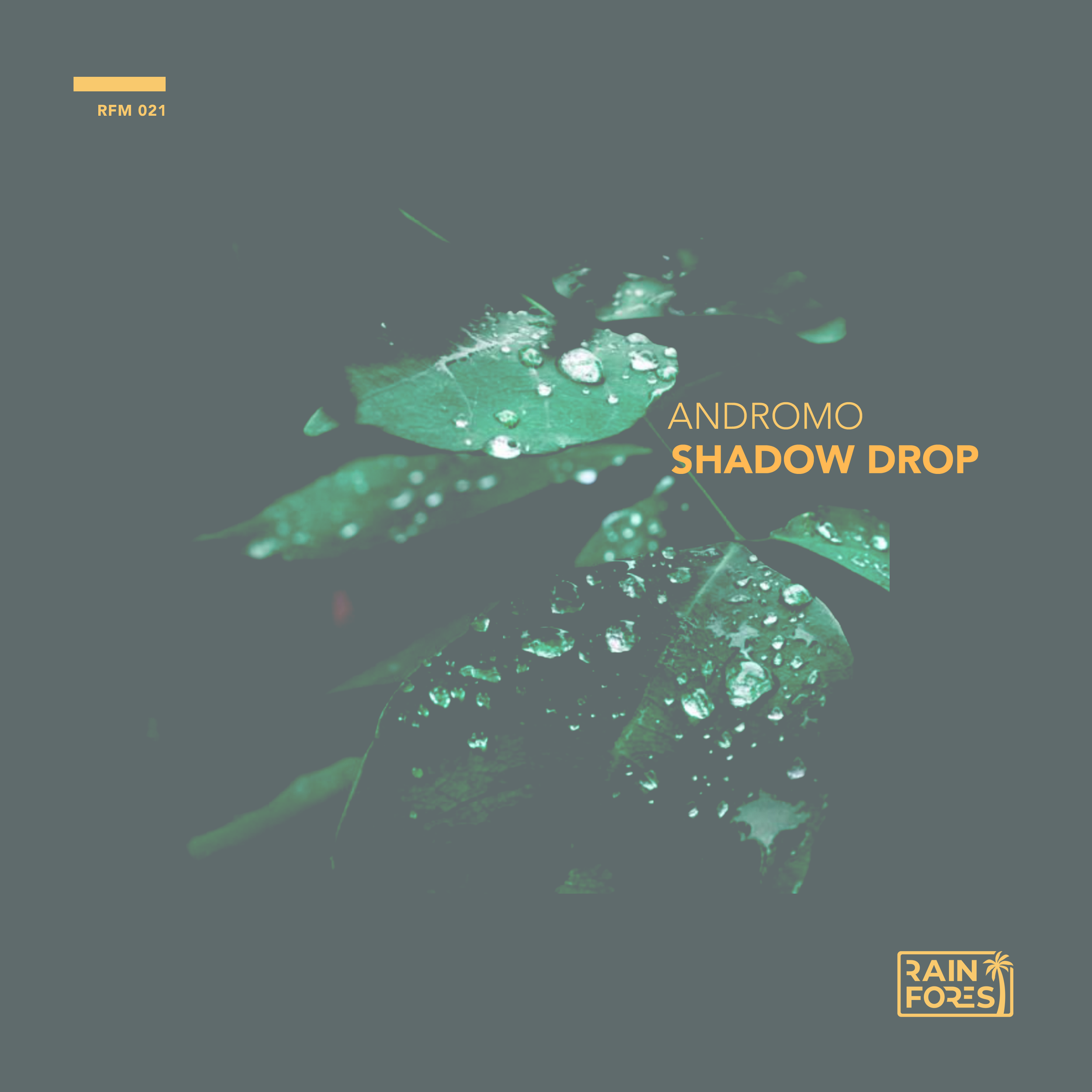 Andromo - Shadow Drop RFM21