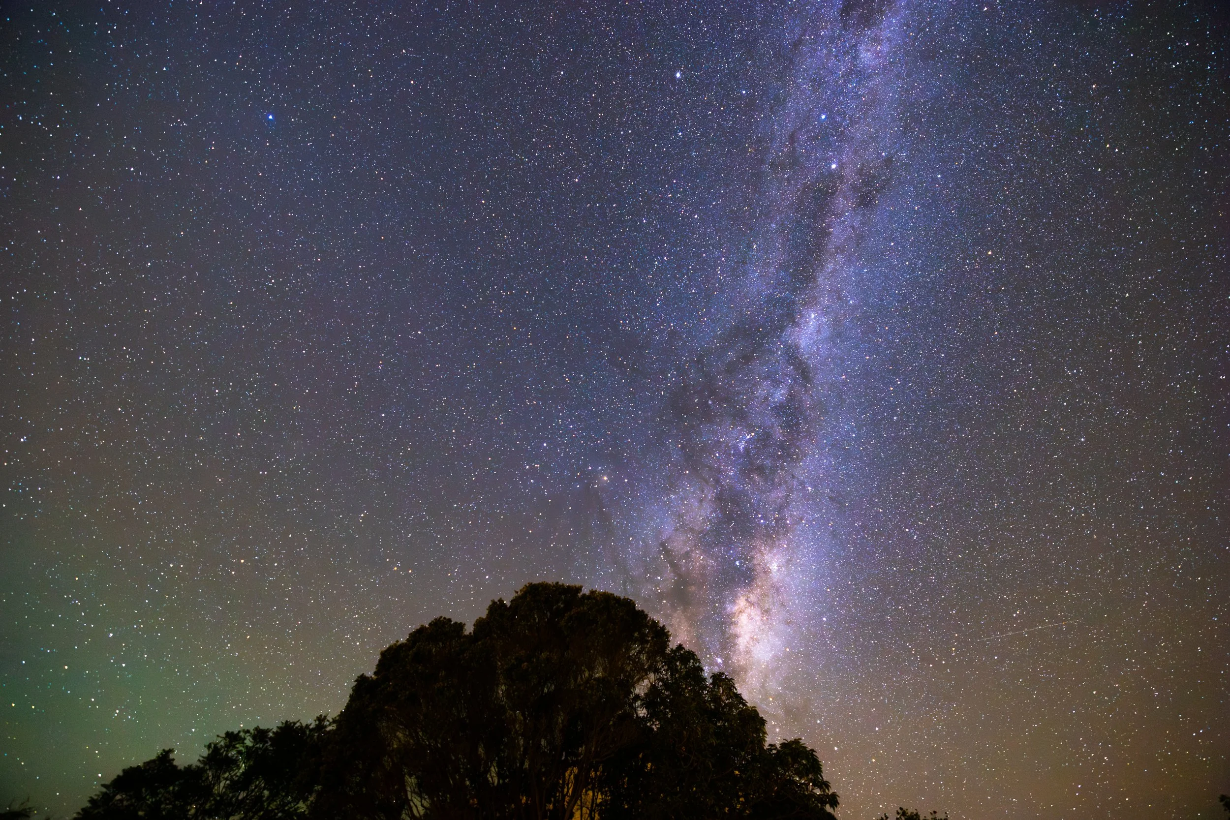 stargazing, kaikourastargazing