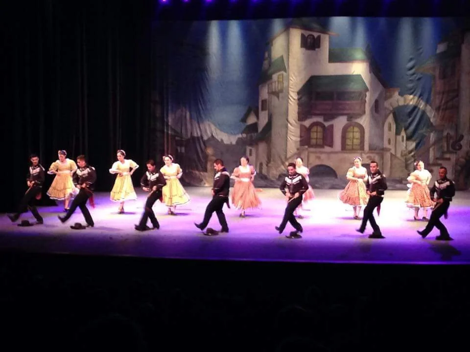 Cecut 2014 Vedimia.jpg