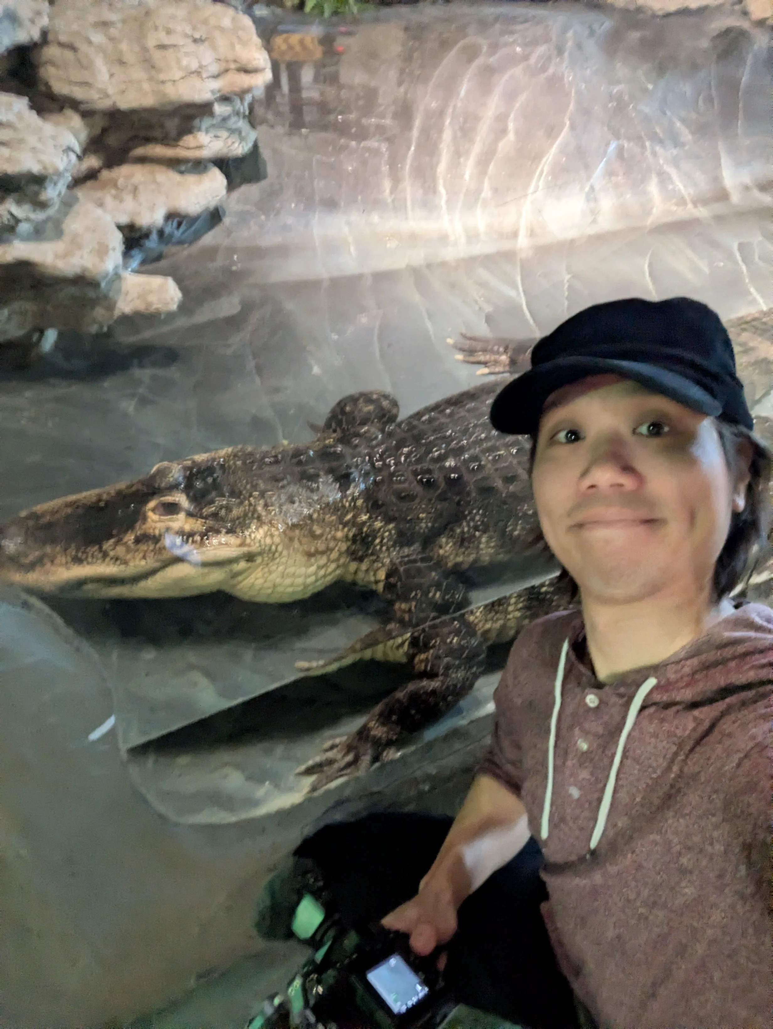 Petting a cockroach and feeding a tortoise for work.