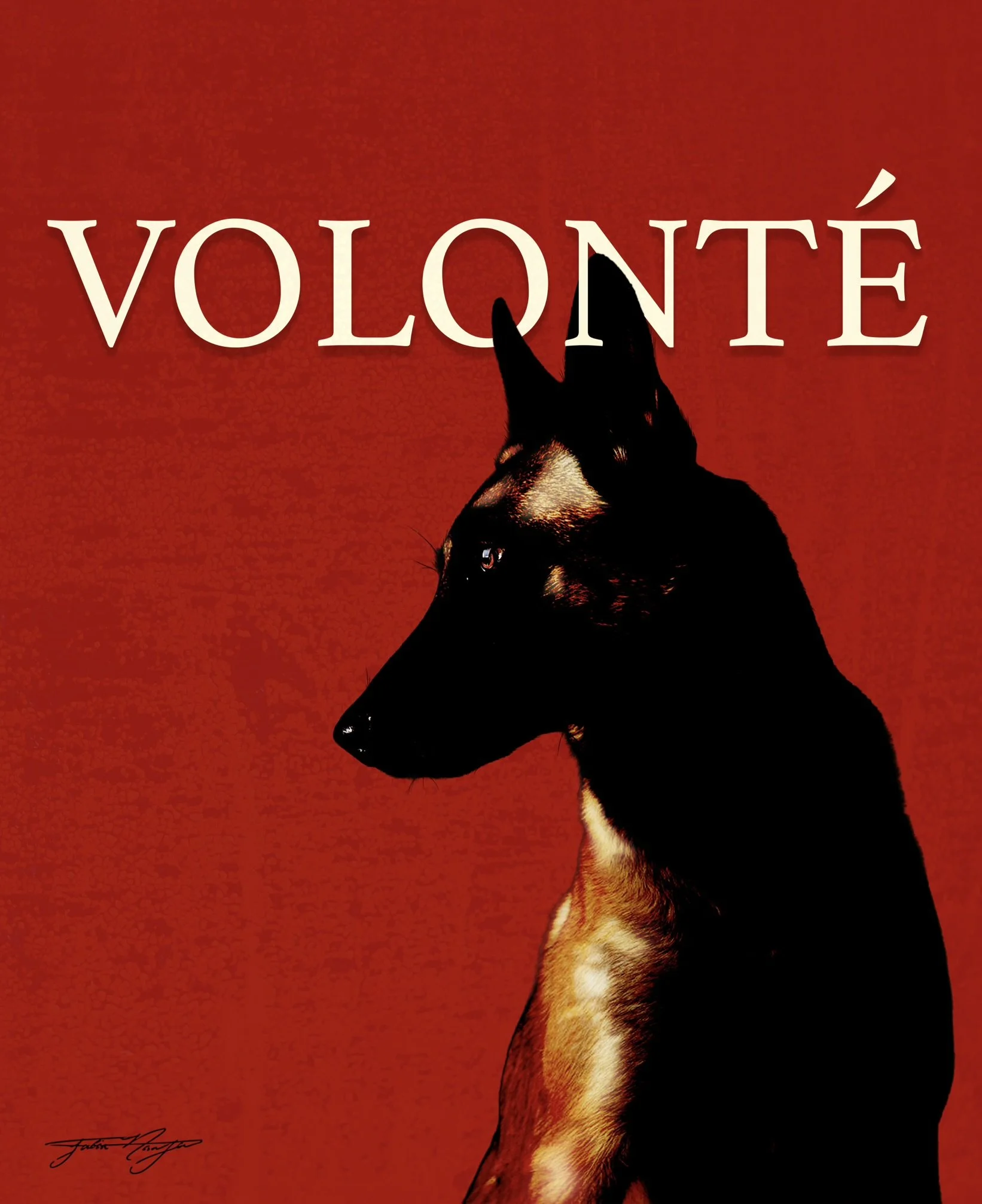 Volonte Poster Design