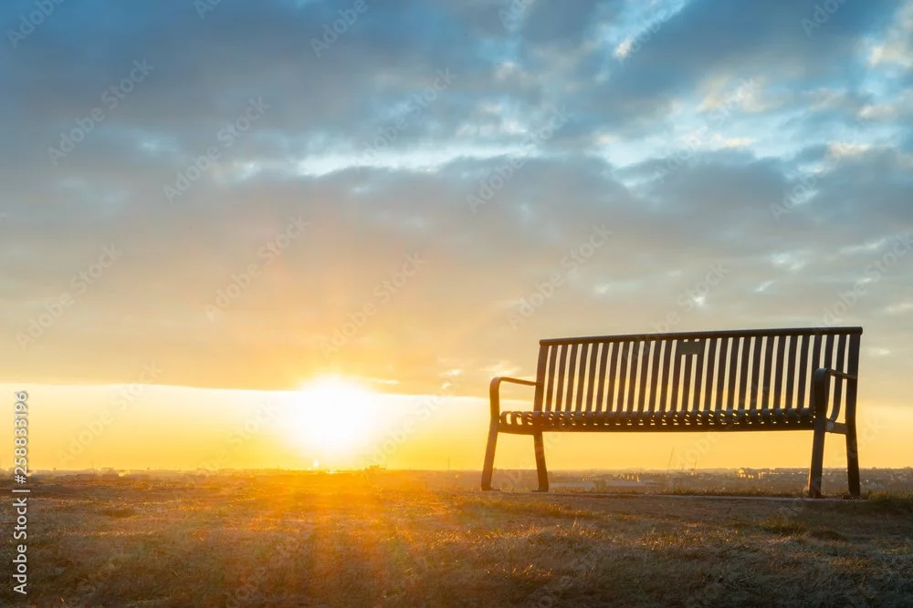 Thank You &amp; Happy New Year